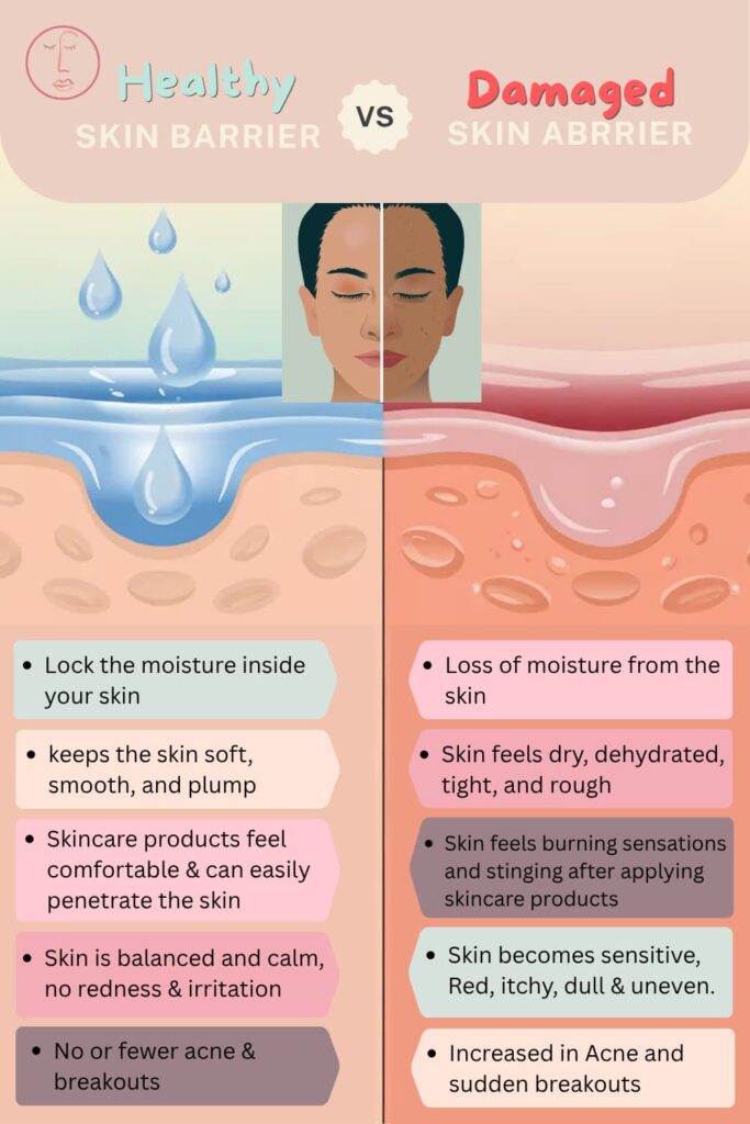 a comparison table of healthy skin barrier vs. the damaged skin barrier